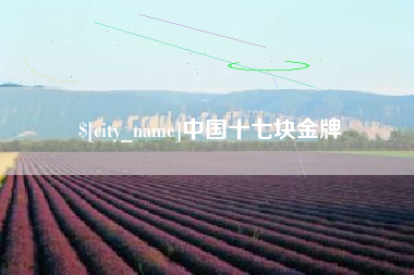 利津中国十七块金牌