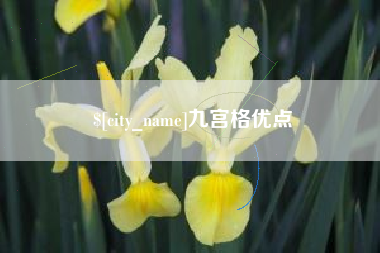 利津九宫格优点
