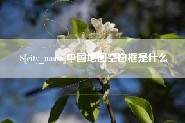 利津中国地图空白框是什么