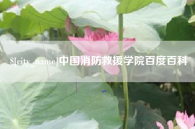 利津中国消防救援学院百度百科