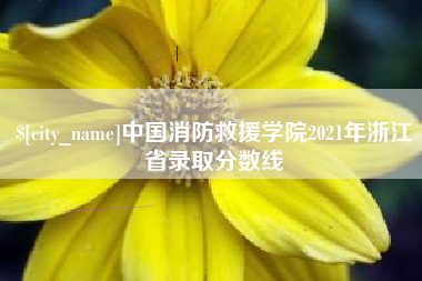 利津中国消防救援学院2021年浙江省录取分数线