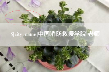 利津中国消防救援学院 老师