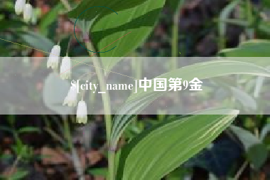 利津中国第9金
