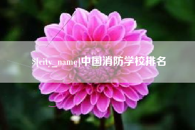利津中国消防学校排名