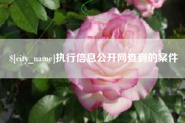 利津执行信息公开网查到的案件