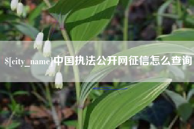 利津中国执法公开网征信怎么查询