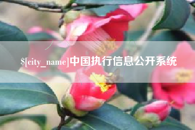 利津中国执行信息公开系统