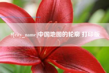 利津中国地图的轮廓 打印版
