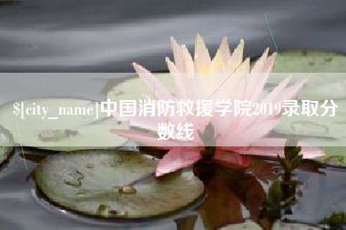 利津中国消防救援学院2019录取分数线