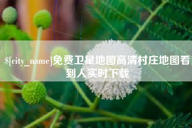 利津免费卫星地图高清村庄地图看到人实时下载