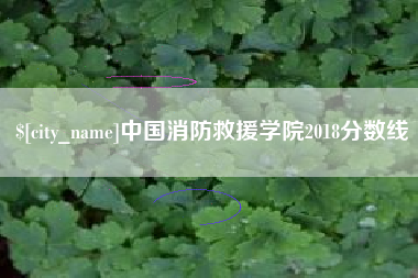 利津中国消防救援学院2018分数线