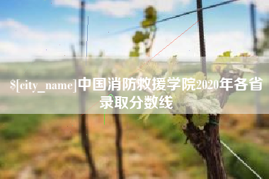 利津中国消防救援学院2020年各省录取分数线