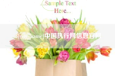 利津中国执行网信息官网