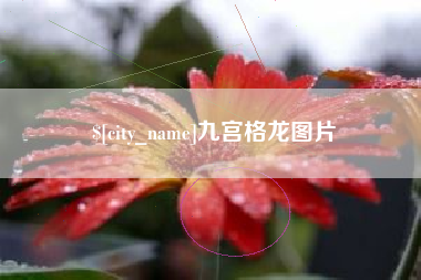 利津九宫格龙图片