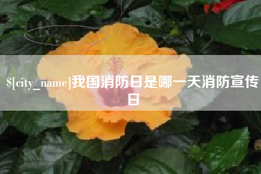 利津我国消防日是哪一天消防宣传日
