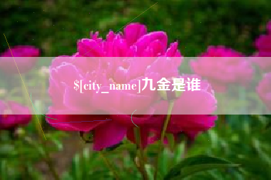 利津九金是谁