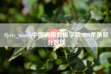 利津中国消防救援学院2019年录取分数线