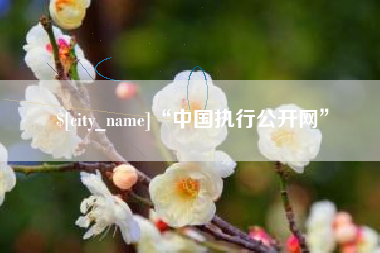 利津“中国执行公开网”