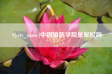 利津中国消防学院是军校吗