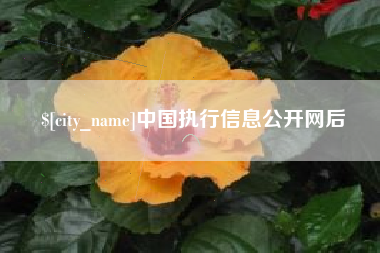 利津中国执行信息公开网后