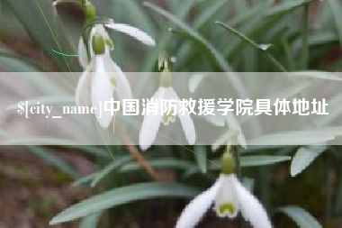 利津中国消防救援学院具体地址