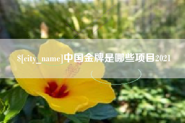 利津中国金牌是哪些项目2021