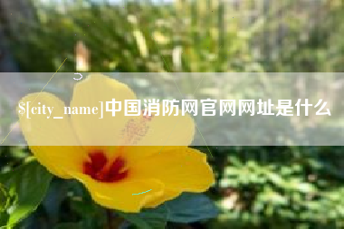 利津中国消防网官网网址是什么