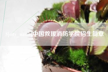 利津中国救援消防学院招生简章