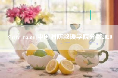 利津中国消防救援学院分数2020