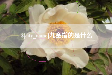 利津九金指的是什么