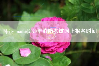 利津2020年消防考试网上报名时间