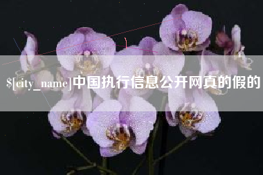 利津中国执行信息公开网真的假的