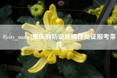 利津重庆消防设施操作员证报考条件