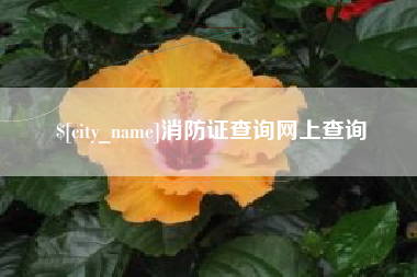 利津消防证查询网上查询