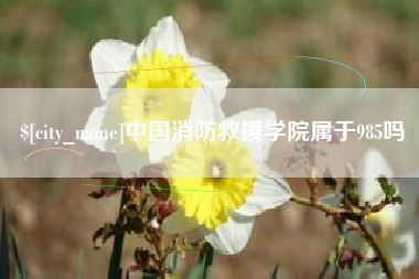 利津中国消防救援学院属于985吗