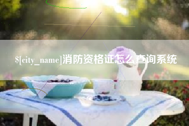 利津消防资格证怎么查询系统