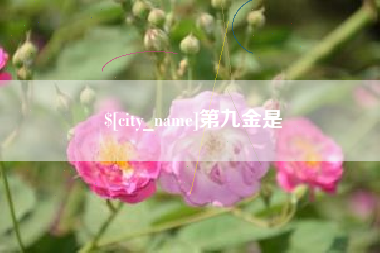 利津第九金是