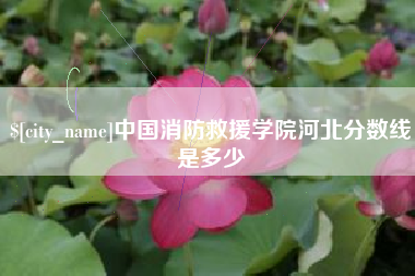 利津中国消防救援学院河北分数线是多少