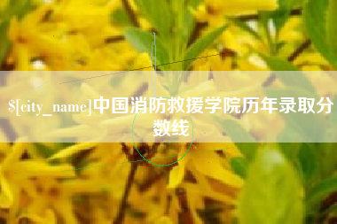 利津中国消防救援学院历年录取分数线