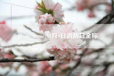 利津11月9日消防日全称
