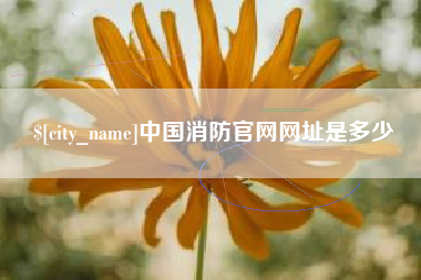 利津中国消防官网网址是多少