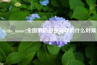 利津全国消防日是每年的什么时候