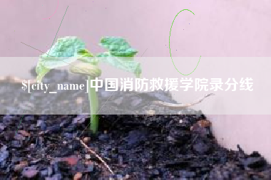 利津中国消防救援学院录分线