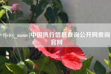 利津中国执行信息查询公开网查询官网