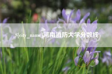利津河南消防大学分数线