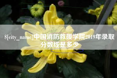 利津中国消防救援学院2019年录取分数线是多少