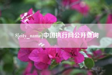 利津中国执行网公开查询