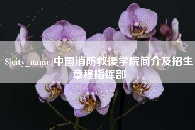 利津中国消防救援学院简介及招生章程指挥部
