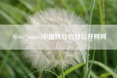 利津中国执行信息公开网网