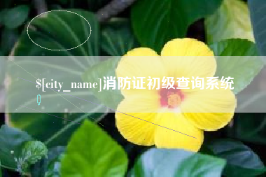 利津消防证初级查询系统